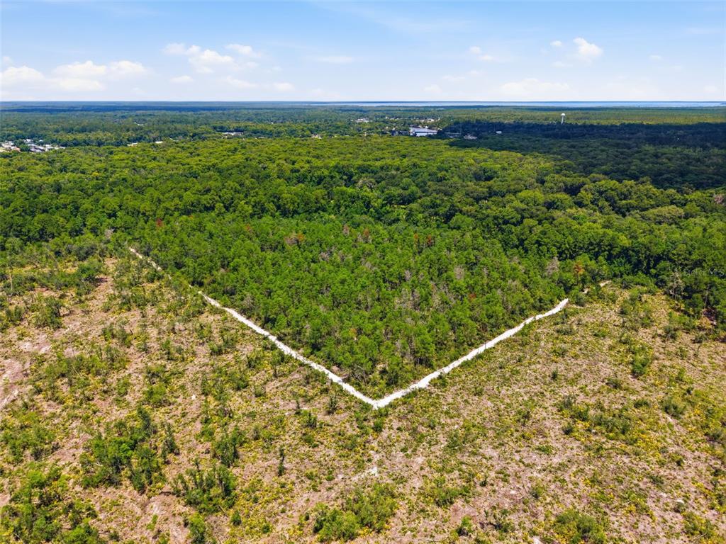 An aerial view shows a cleared lot with a V-shaped path bordering a dense forest — 2140 ST JOHNS RIVER ROAD, ASTOR, FL