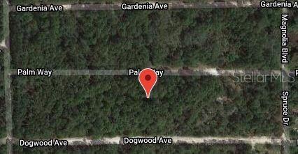 117 PALM WAY, GEORGETOWN, FL — photo 2 of 3