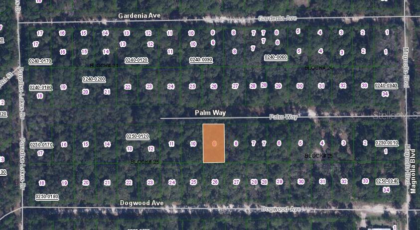 117 PALM WAY, GEORGETOWN, FL — photo 3 of 3
