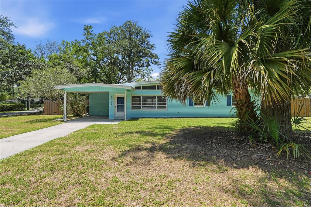 A light blue single-story house with a carport and a large palm tree in front — 1702 NW 38TH DRIVE, GAINESVILLE, FL