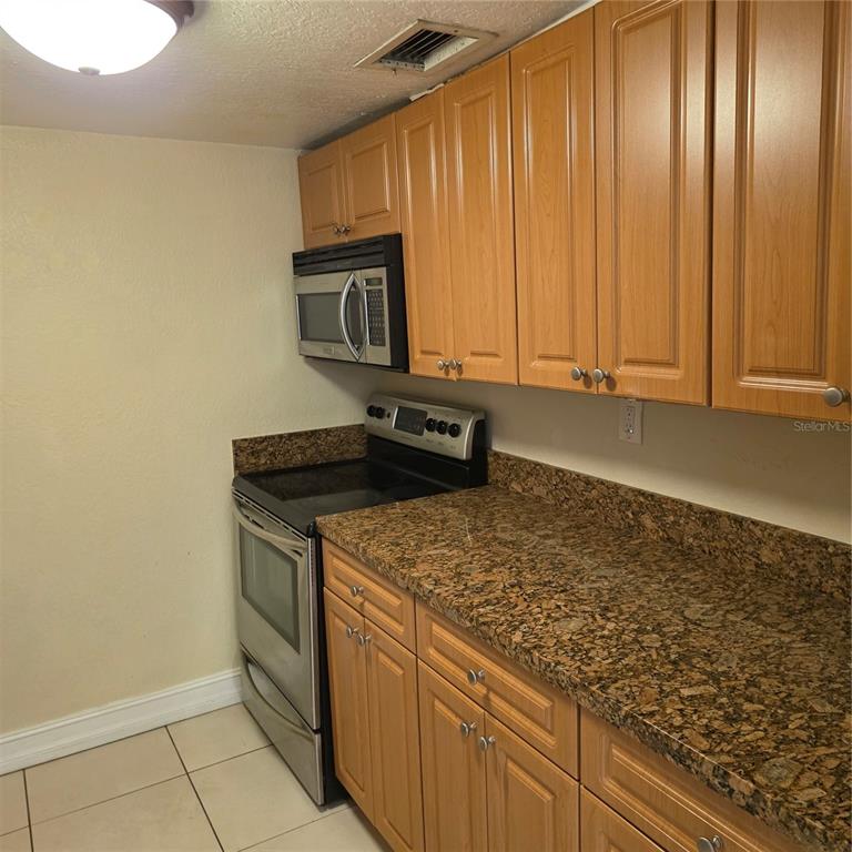 A kitchen features light wood cabinets, granite countertops, and stainless steel appliances — 5221 BAYSHORE BOULEVARD UNIT 29, TAMPA, FL