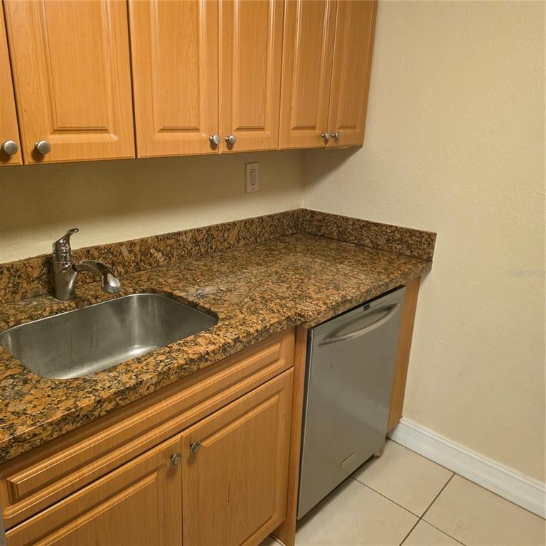 A kitchen area features light wood cabinets, a granite countertop, a stainless steel sink, and a dishwasher — 5221 BAYSHORE BOULEVARD UNIT 29, TAMPA, FL