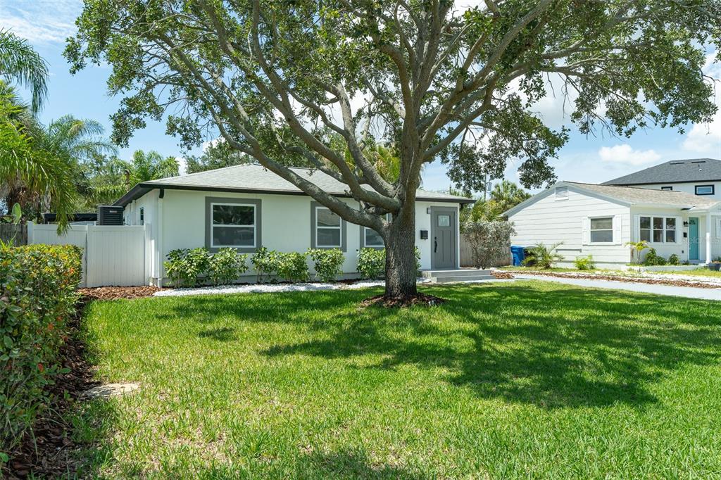 A single-story white house with a large tree in the front yard and green lawn — 116 85TH AVENUE N, ST PETERSBURG, FL