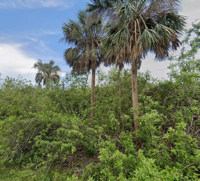 Two tall palm trees rise above a dense thicket of green shrubs and foliage — 14529 MCMILLIN AVENUE, PORT CHARLOTTE, FL