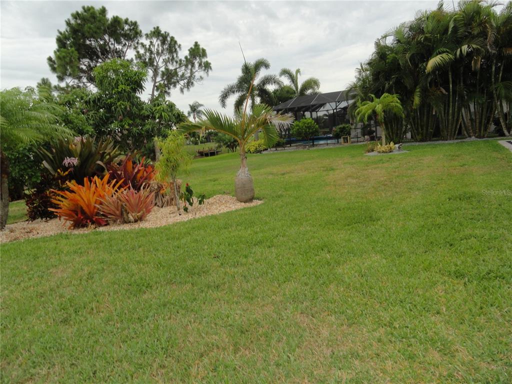 A grassy backyard features a landscaped garden bed with colorful bromeliads and several palm trees — 428 BOUNDARY BOULEVARD, ROTONDA WEST, FL