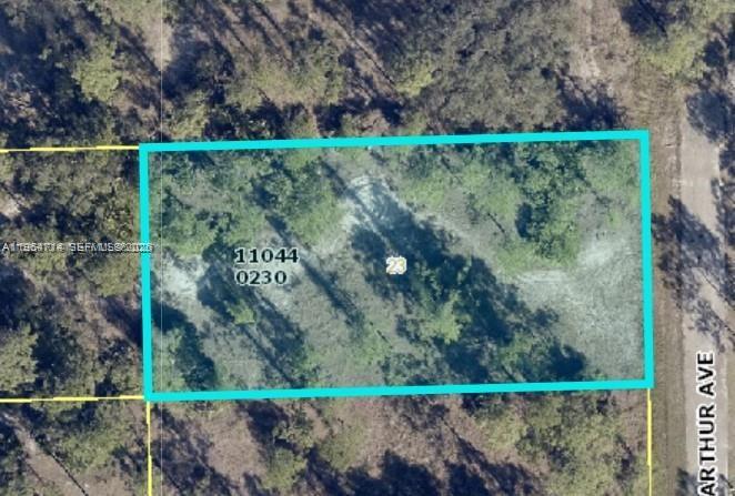 This is an aerial map view of a rectangular, wooded plot of land — 2321 Macarthur Ave, Lehigh Acres FL 33920, LEHIGH ACRES, FL