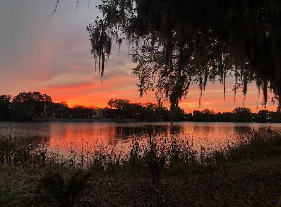 A vibrant sunset glows over a lake with silhouetted trees and buildings in the distance — 725 PENINSULAR DRIVE, LAKELAND, FL