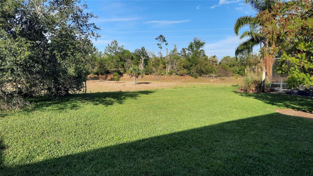 A grassy backyard overlooks a wooded area under a clear blue sky — 1315 ELLI CIRCLE, ORMOND BEACH, FL