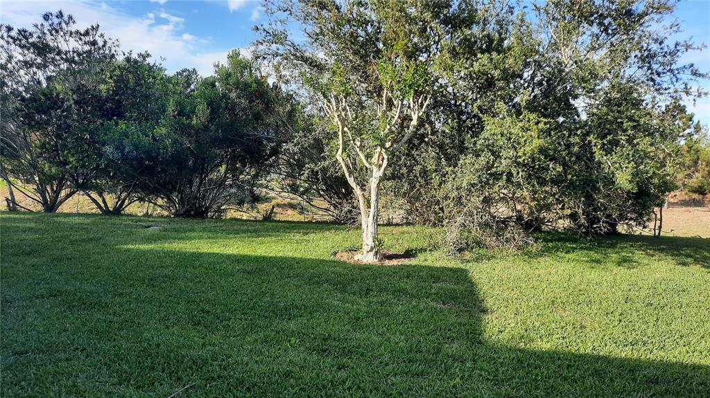 A grassy backyard features a central tree surrounded by dense foliage and trees — 1315 ELLI CIRCLE, ORMOND BEACH, FL