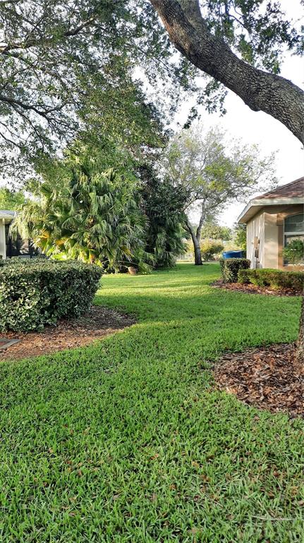A grassy yard features a large tree, palm bushes, and a corner of a house — 1315 ELLI CIRCLE, ORMOND BEACH, FL