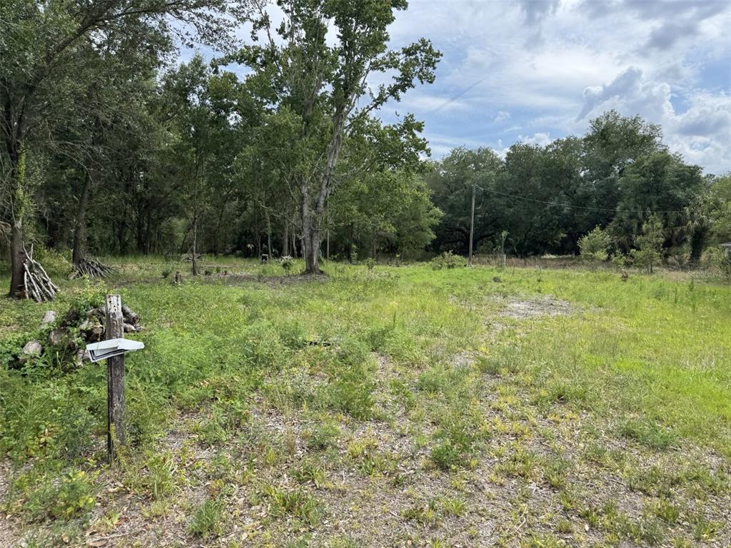 A grassy, undeveloped lot features scattered trees and a mailbox on a wooden post — 9876 SR 60 E, LAKE WALES, FL