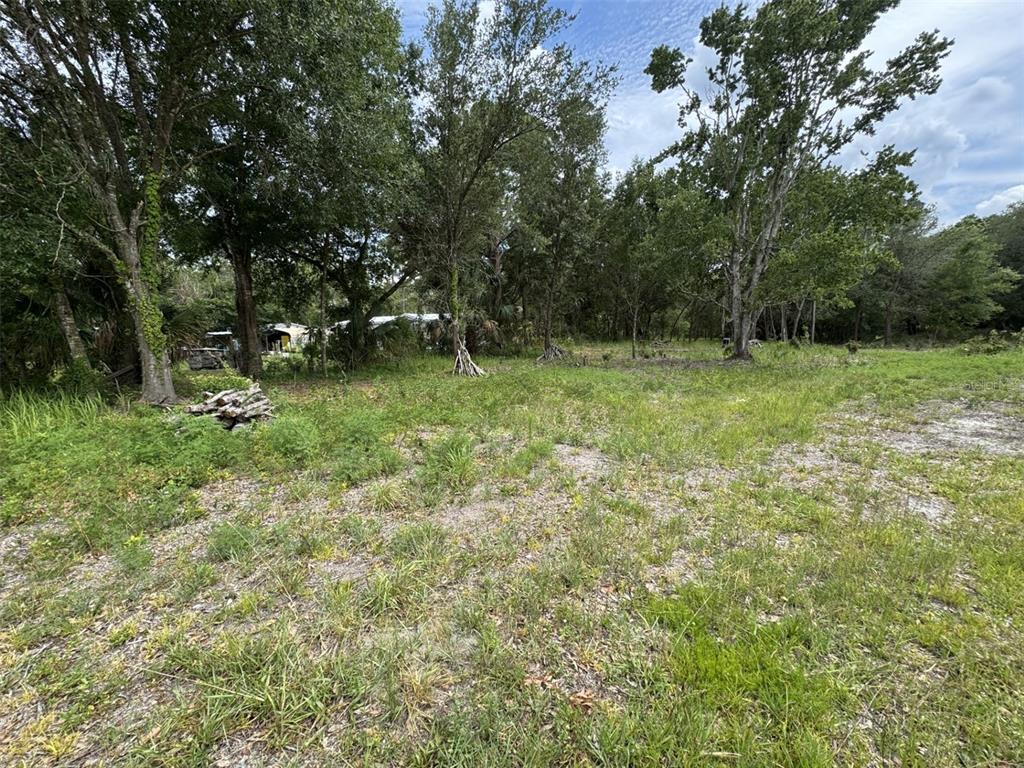 A grassy, partially wooded lot features scattered piles of cut wood and mature trees — 9876 SR 60 E, LAKE WALES, FL