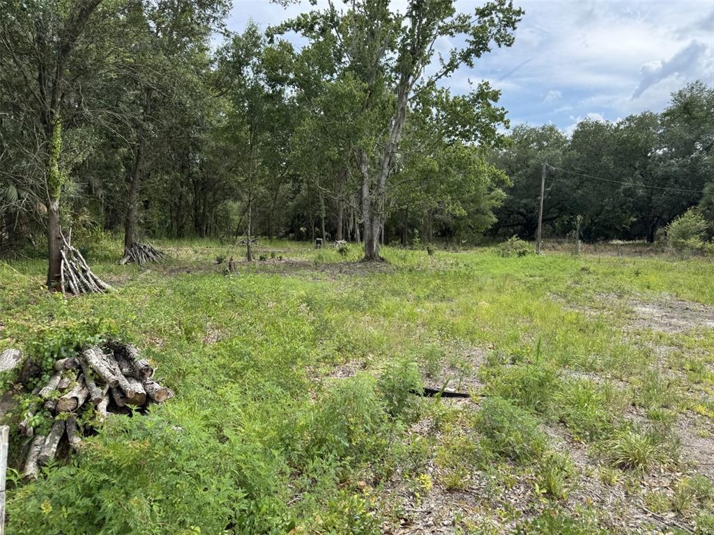 A grassy, partially cleared lot with scattered trees and piles of stacked logs — 9876 SR 60 E, LAKE WALES, FL