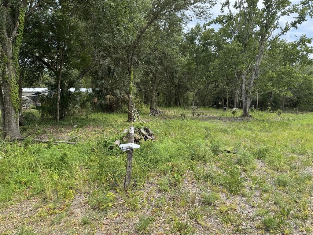 A wooden post stands in a grassy, wooded lot with a small structure visible behind — 9876 SR 60 E, LAKE WALES, FL