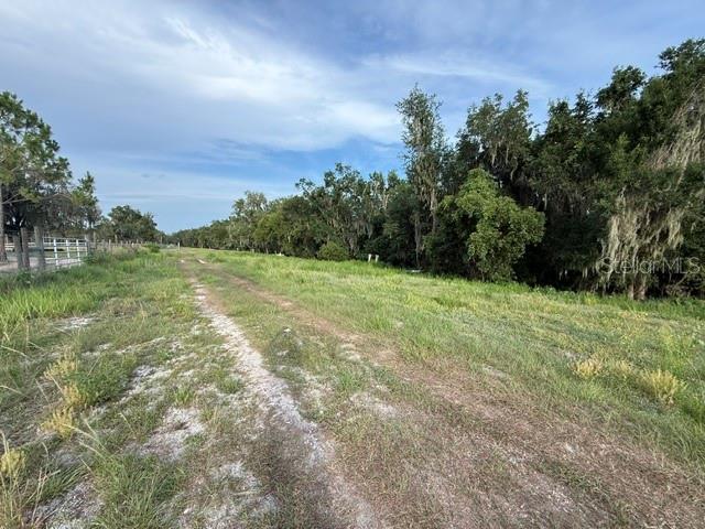 A dirt path runs through a grassy field bordered by a line of trees — POOL BRANCH ROAD, FORT MEADE, FL