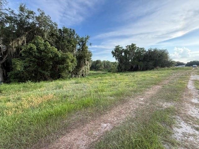 A dirt path leads through a grassy field toward a line of trees — POOL BRANCH ROAD, FORT MEADE, FL