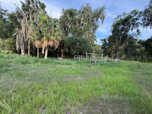A grassy field leads toward a wooden fence and a cluster of trees with moss — POOL BRANCH ROAD, FORT MEADE, FL