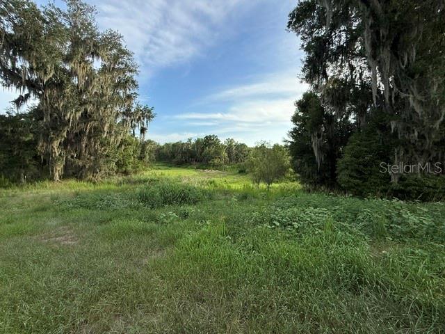 A grassy, open field is framed by large trees draped with Spanish moss — POOL BRANCH ROAD, FORT MEADE, FL