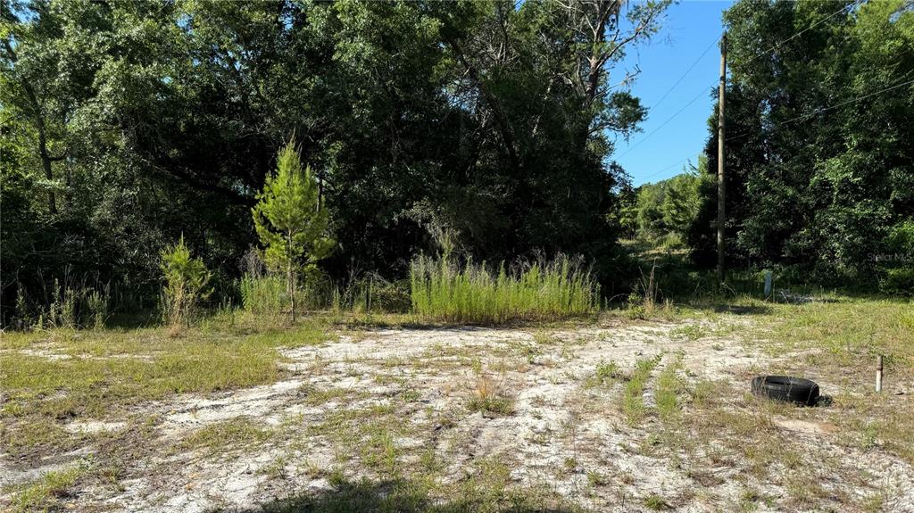 A vacant, sandy lot features scattered grass, a single tire, and dense trees in the background — 8045 NE 307TH AVENUE, FORT MC COY, FL