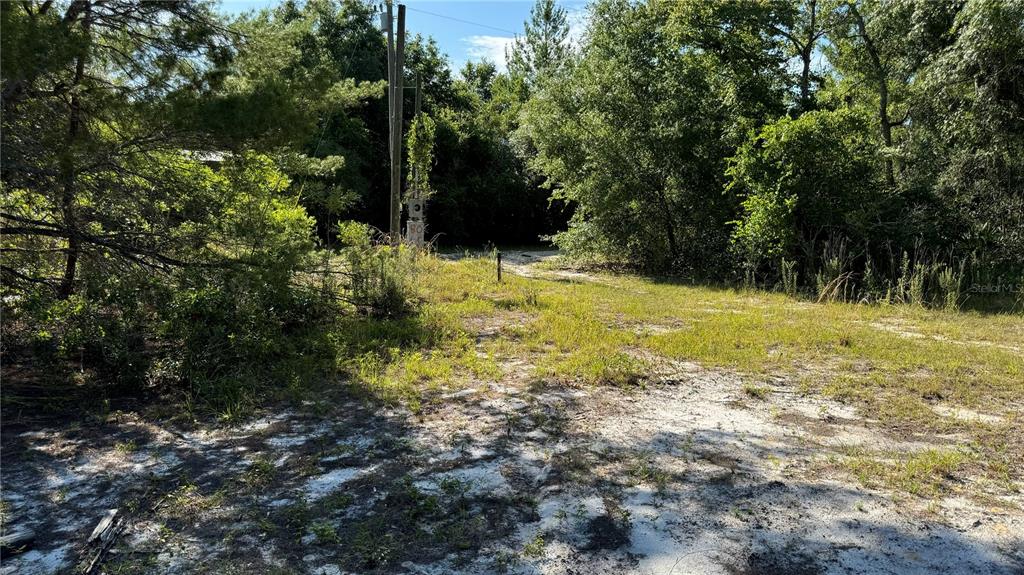 A sandy, overgrown lot is surrounded by dense trees and features a utility pole — 8045 NE 307TH AVENUE, FORT MC COY, FL