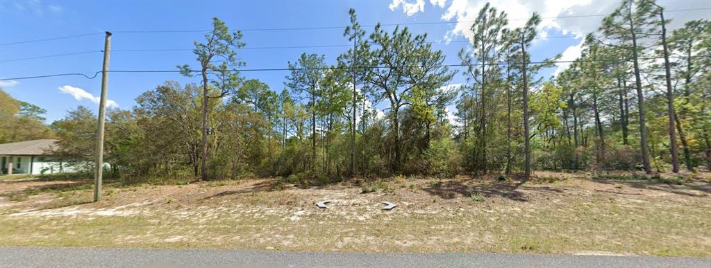A vacant, wooded residential lot sits next to a house under a blue sky — 9029 N SAPONARIA DRIVE, CITRUS SPRINGS, FL