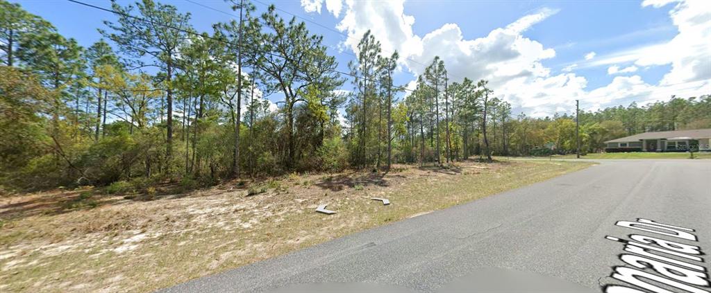 A vacant, wooded residential lot sits along a paved street with a house nearby — 9029 N SAPONARIA DRIVE, CITRUS SPRINGS, FL