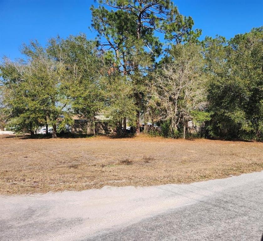 A vacant, grassy residential lot features a dense line of mature trees in the background — SE 97TH TER, SUMMERFIELD, FL
