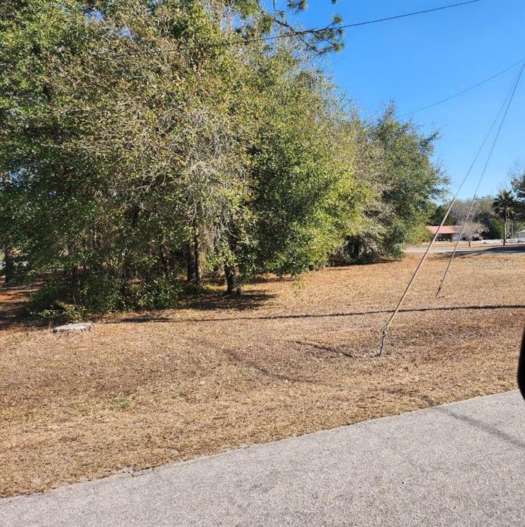 A vacant, grassy lot with trees borders a paved road under a clear blue sky — SE 97TH TER, SUMMERFIELD, FL