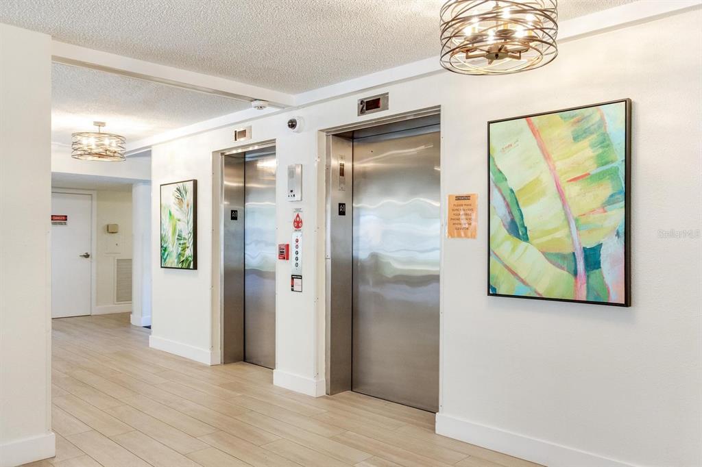 A hallway features two stainless steel elevators, light wood-look flooring, and two framed botanical paintings — 632 EDGEWATER DRIVE UNIT 736, DUNEDIN, FL