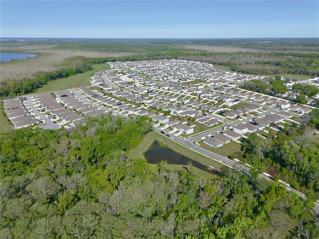 An aerial view shows a suburban residential neighborhood surrounded by dense forest and a pond — 29994 ANAHID DRIVE, LEESBURG, FL