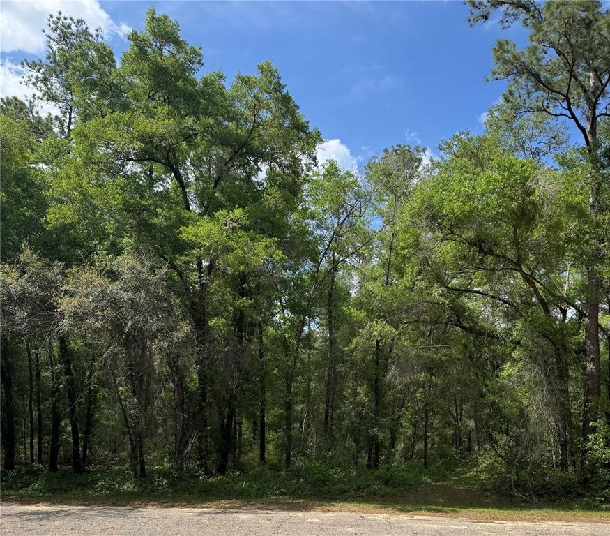 455 E AVONDALE DRIVE, DUNNELLON, FL — photo 2 of 7