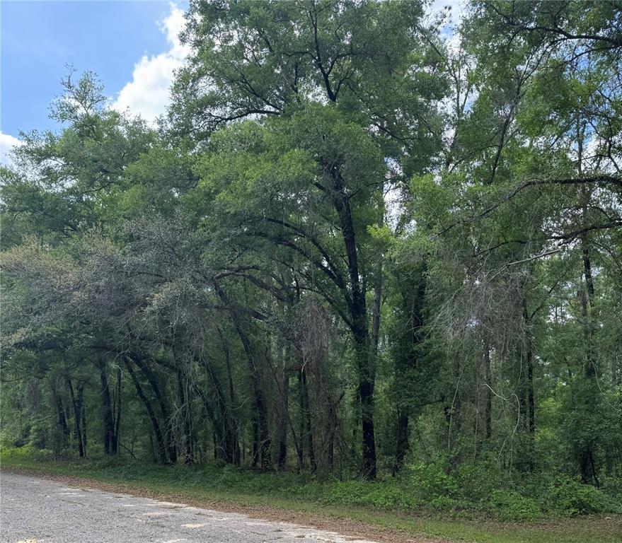 455 E AVONDALE DRIVE, DUNNELLON, FL — photo 3 of 7