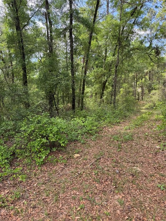 455 E AVONDALE DRIVE, DUNNELLON, FL — photo 4 of 7