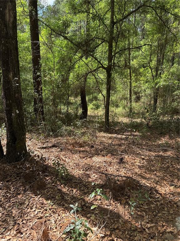 455 E AVONDALE DRIVE, DUNNELLON, FL — photo 5 of 7