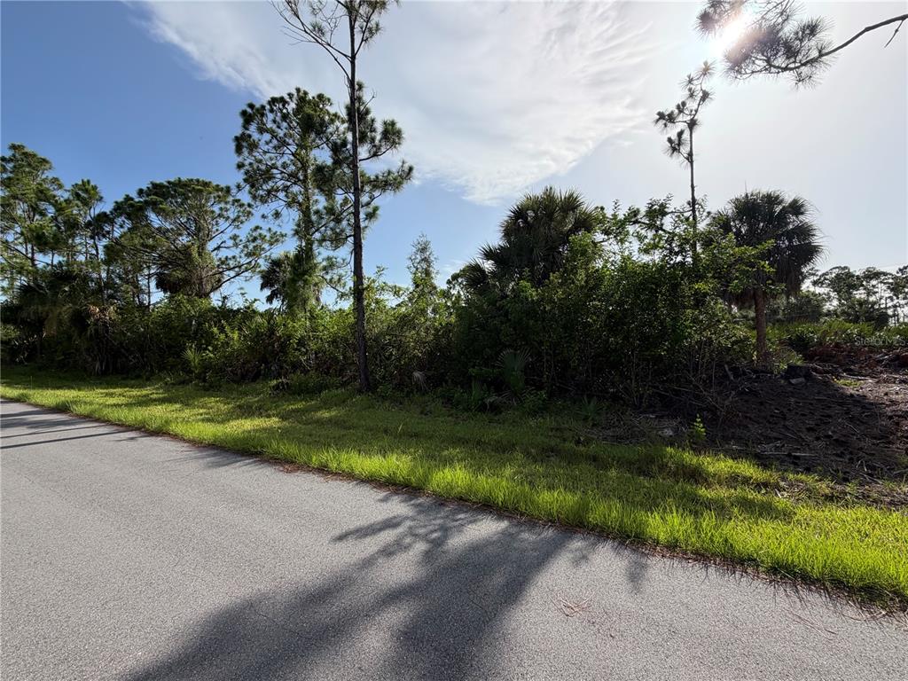 A paved road runs alongside a wooded lot with tall pine trees and dense vegetation — 6153 REGATTA STREET, PORT CHARLOTTE, FL