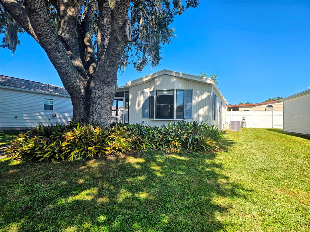 A single-story house with light siding and a large oak tree in the front yard — 615 NE COTTAGE PARK LANE, LEESBURG, FL