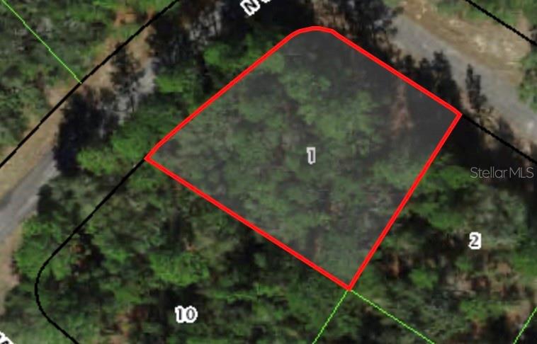 An aerial map view shows a wooded lot outlined in red labeled with the number one — 422 W PARROT PLACE, DUNNELLON, FL