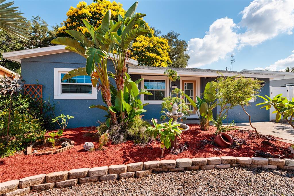 A blue single-story house features a landscaped front yard with red mulch and a fountain — 6275 51ST AVENUE N, ST PETERSBURG, FL