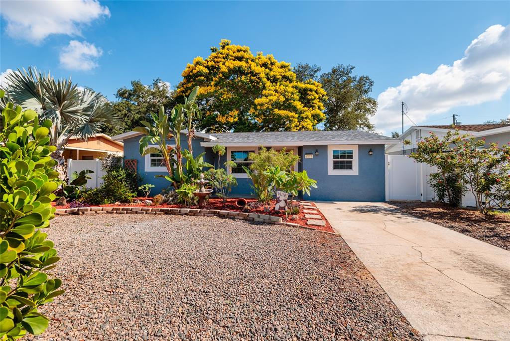 A blue single-story house features a gravel front yard, a concrete driveway, and yellow-flowering trees — 6275 51ST AVENUE N, ST PETERSBURG, FL