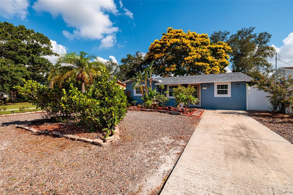 A blue single-story house features a gravel front yard, a concrete driveway, and flowering trees — 6275 51ST AVENUE N, ST PETERSBURG, FL