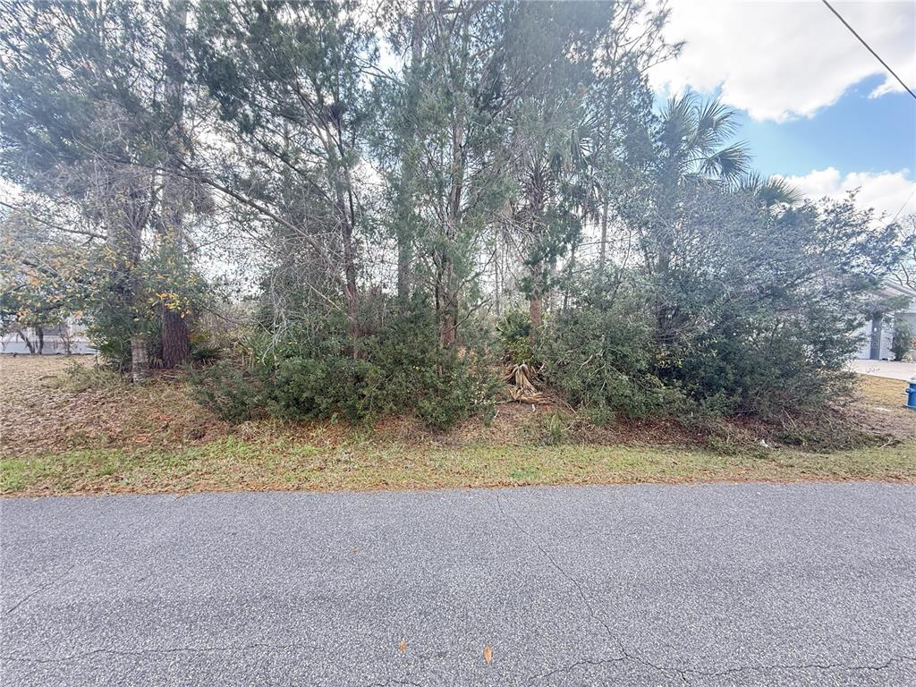 12 PINEASH LANE