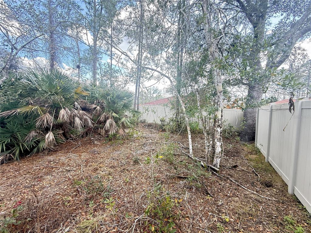 A wooded backyard area features a white vinyl fence and dense native vegetation — 12 PINEASH LANE, PALM COAST, FL
