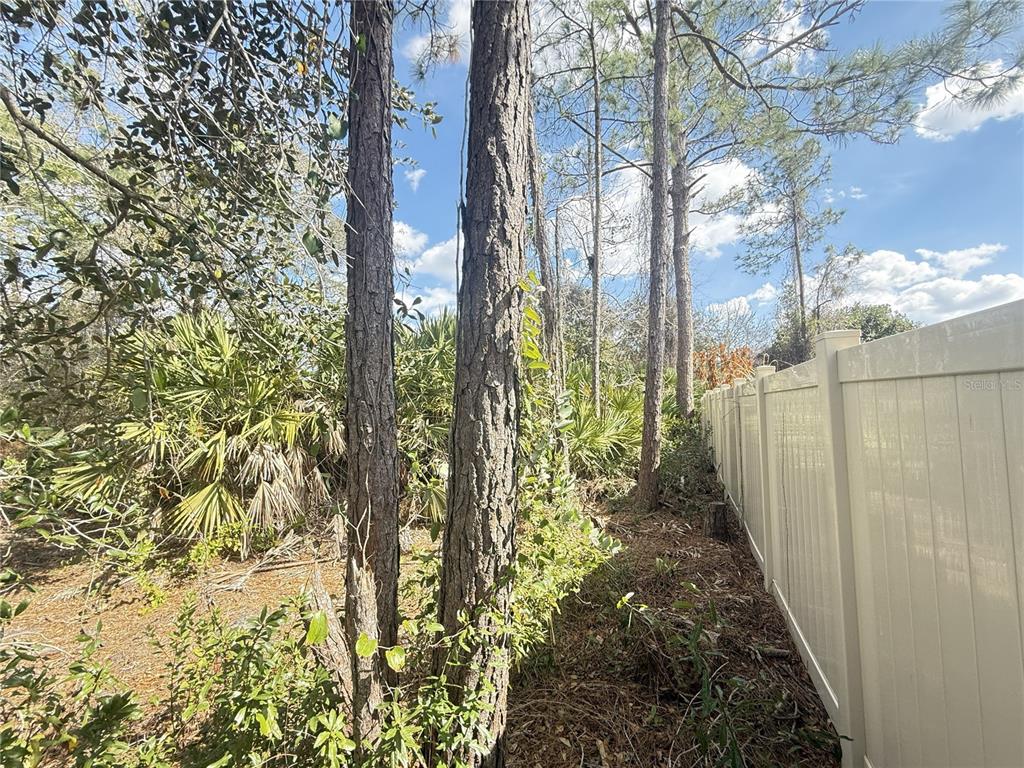 A white vinyl fence borders a wooded area with tall pine trees and palmetto bushes — 12 PINEASH LANE, PALM COAST, FL