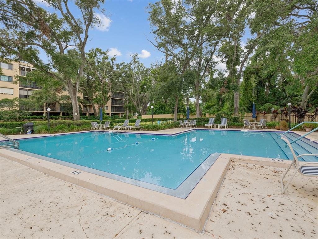 An outdoor swimming pool surrounded by a concrete deck, patio furniture, and mature trees — 3078 EASTLAND BOULEVARD UNIT 309, CLEARWATER, FL