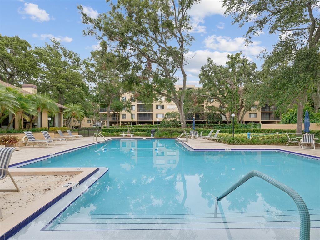A rectangular swimming pool is surrounded by a concrete deck, lounge chairs, and mature trees — 3078 EASTLAND BOULEVARD UNIT 309, CLEARWATER, FL