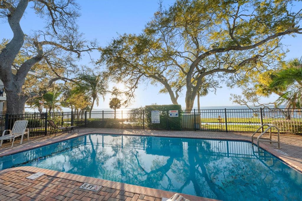 A rectangular swimming pool is surrounded by a brick deck, black fencing, and large trees — 1101 VICTORIA DRIVE UNIT 7, DUNEDIN, FL