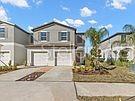 The exterior view shows the back of two-story townhomes with small yards and a fence — 23330 PAPYRUS WAY, LUTZ, FL