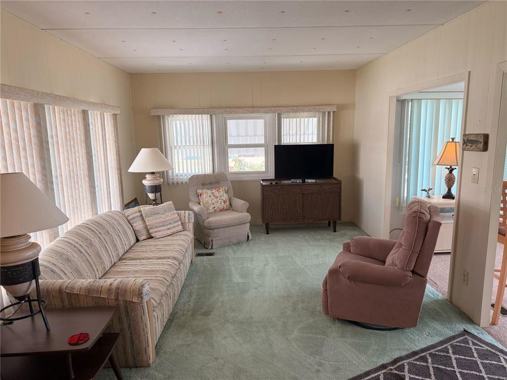 A living room features green carpeting, a striped sofa, two armchairs, and a television console — 315 PEACE MANOR, PALMETTO, FL
