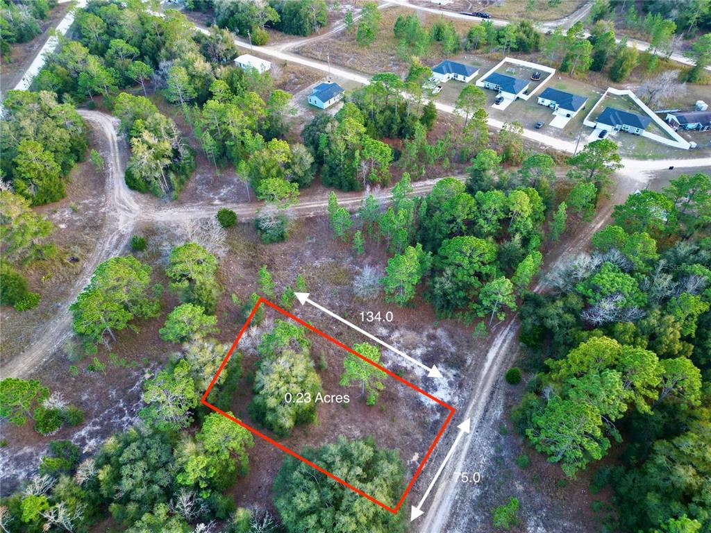An aerial view shows a rectangular plot of land outlined in red with surrounding trees — TBD SW 145TH CT, OCALA, FL