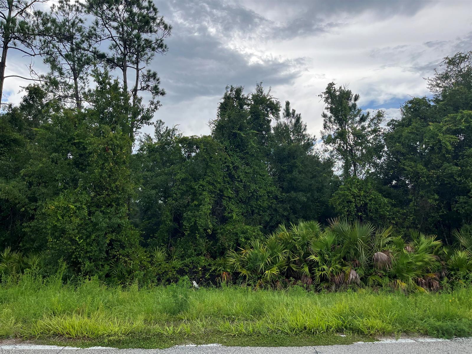 6883 St Johns Avenue, Palatka FL 32177